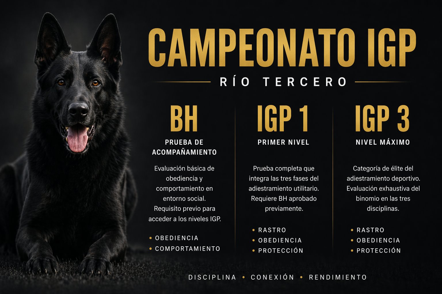 Categorías del Campeonato IGP Río Tercero: BH, IGP 1 e IGP 3. Disciplina, conexión, rendimiento.