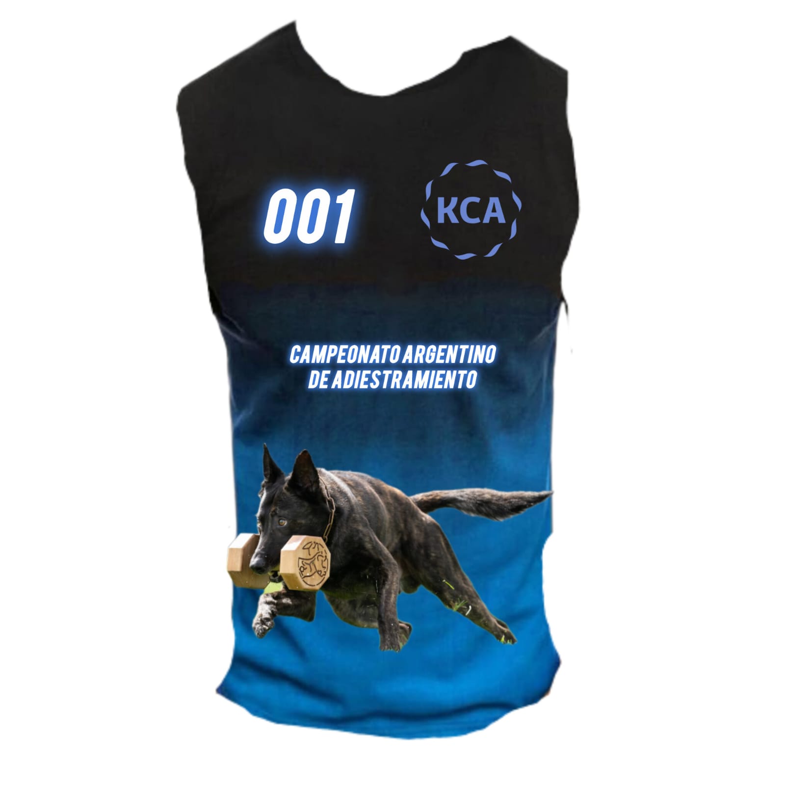 Pechera oficial del Campeonato IGP - vista frente con número 001